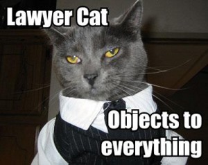 lawyer lolcat