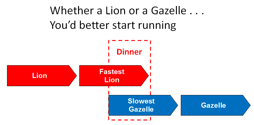 Consultantsmind-Lion-or-Gazelle