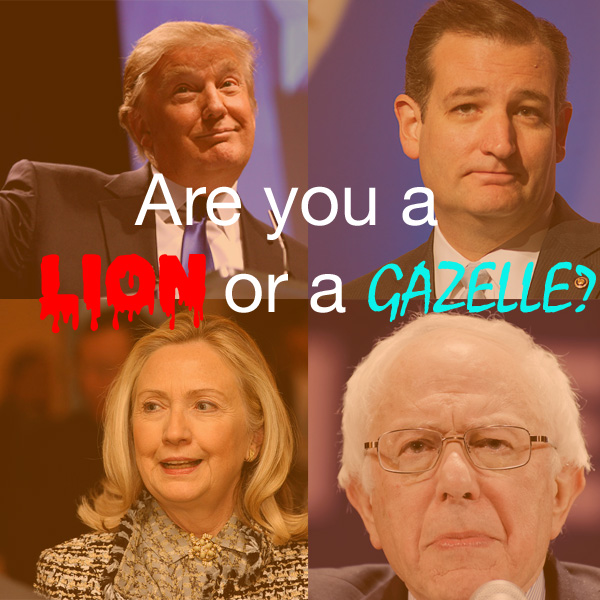 Are You A Lion Or A Gazelle?